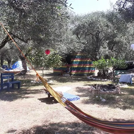 Camping *
